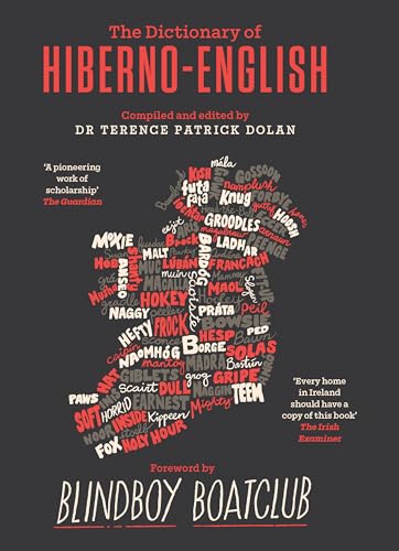 9780717190201: The Dictionary of Hiberno-English: The Irish Use of English