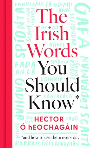 9780717199860: The Irish Words You Should Know: and how to use them every day