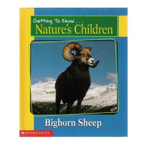 Stock image for Bighorn Sheep (Nature's Children) for sale by SecondSale
