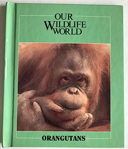 Imagen de archivo de Orangutans a la venta por Better World Books