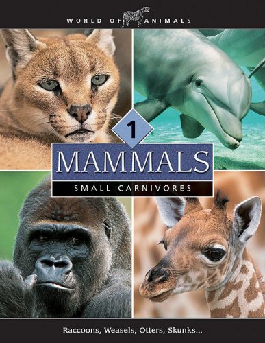 Beispielbild fr Mammals (World of Animals (Danbury, Conn.).) zum Verkauf von Friends of the Brownsburg Public Library