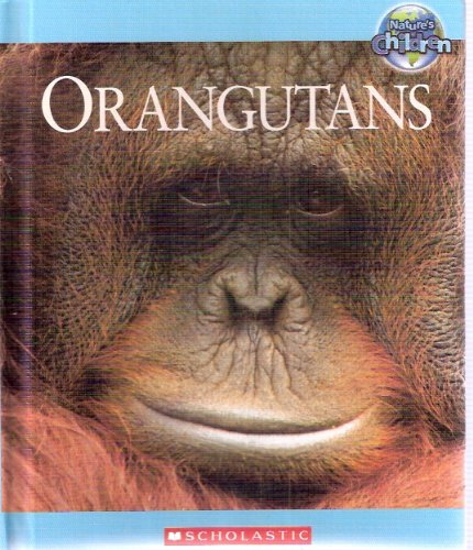 Stock image for Orangutans for sale by Better World Books
