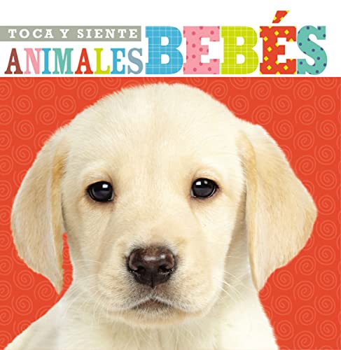 Stock image for Toca y siente animales bebTs (Spanish Edition) for sale by Lakeside Books