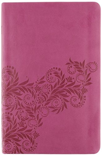 9780718038243: Holy Bible: New King James Version, Light Cranberry, Ultraslim, Reference