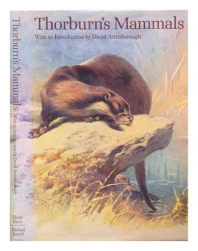 Imagen de archivo de Thorburn's Mammals a la venta por WorldofBooks