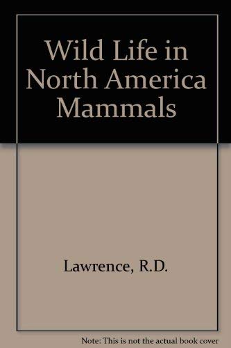 Wildlife In North America Mammals