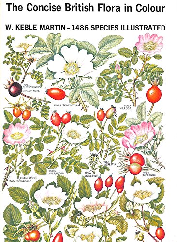 Stock image for The Concise British Flora in Colour - 1486 Species Illustrated for sale by Alexander's Books