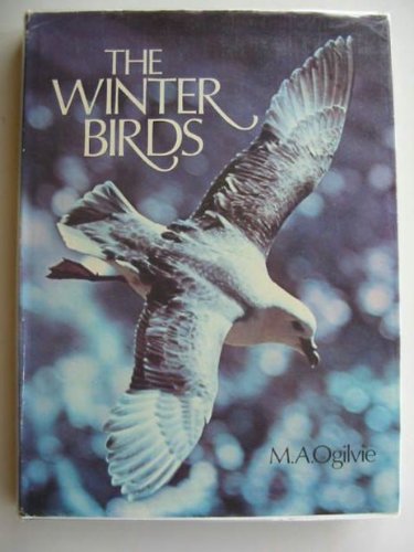 9780718115296: Winter Birds