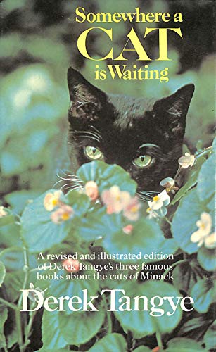 9780718116286: Somewhere a Cat is Waiting