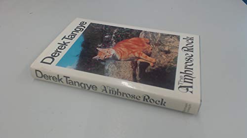 9780718121488: The Ambrose Rock