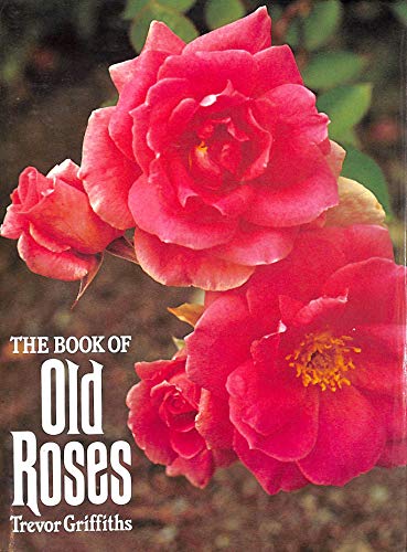 Beispielbild fr Book of Old Roses zum Verkauf von medimops