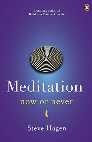 9780718193041: Meditation Now or Never