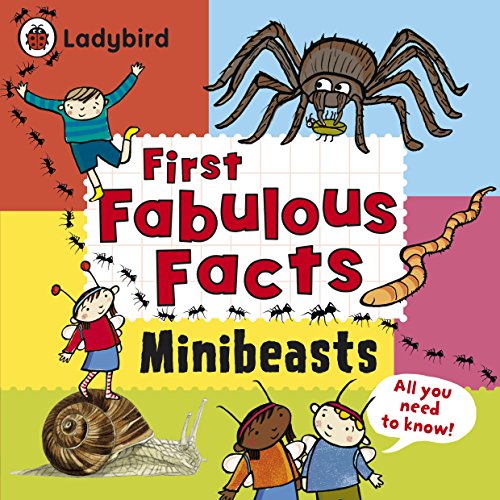 Imagen de archivo de Minibeasts: Ladybird First Fabulous Facts a la venta por WorldofBooks