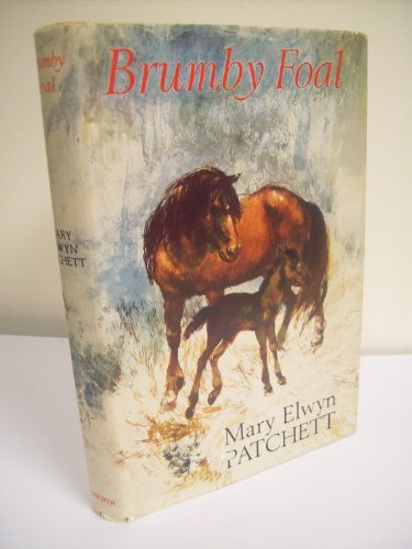Brumby Foal (9780718801168) by Patchett, Mary E