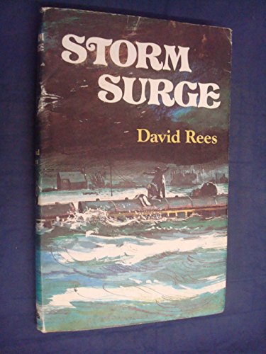 9780718821708: Storm Surge