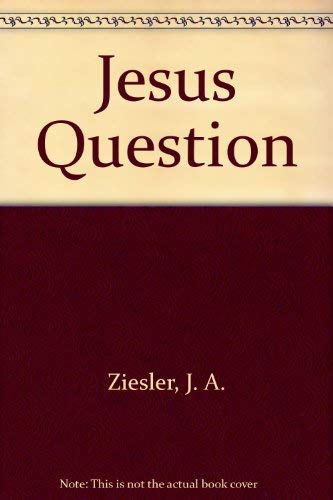 Beispielbild fr Jesus Question zum Verkauf von WorldofBooks