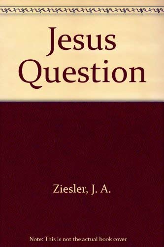 Stock image for Jesus Question for sale by WorldofBooks