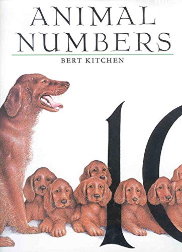 Beispielbild fr Animal Numbers zum Verkauf von WorldofBooks