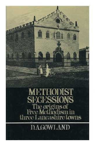 Beispielbild fr Methodist Secessions zum Verkauf von SniderBooks