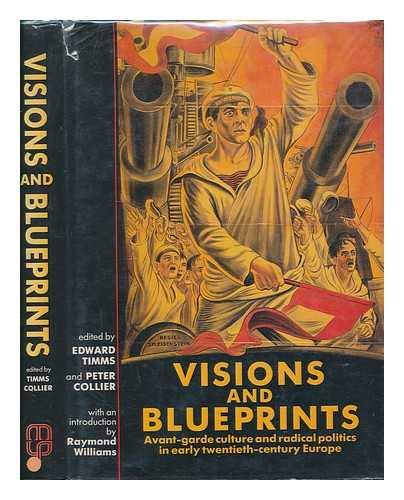 Imagen de archivo de Visions and Blueprints: Avant-Garde Culture and Radical Politics in Early Twentieth-Century Europe a la venta por ANARTIST