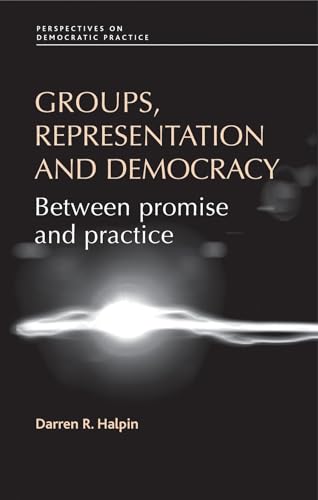 Stock image for Groups, Representation and Democracy: Between Promise and Practice (Perspectives on Democratic Practice) for sale by Chiron Media