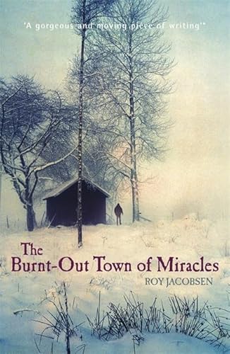 Imagen de archivo de The Burnt-Out Town of Miracles a la venta por WorldofBooks