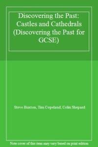 Stock image for Discovering the Past:Castles and Cathedrals (Discovering the Past for GCSE) for sale by WorldofBooks
