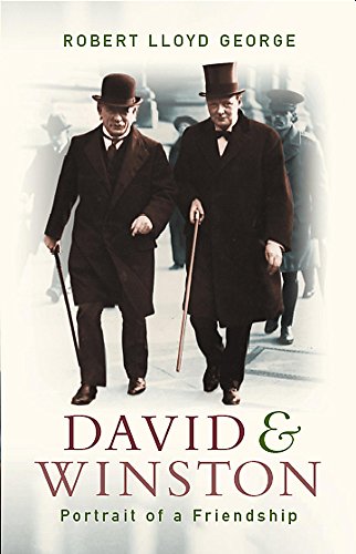 Imagen de archivo de David and Winston : How a Friendship Changed History a la venta por Better World Books
