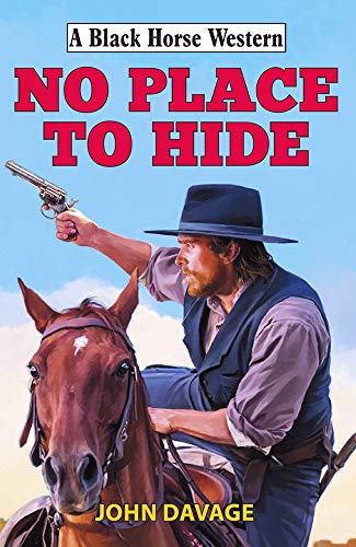 Stock image for No Place to Hide for sale by Buchpark