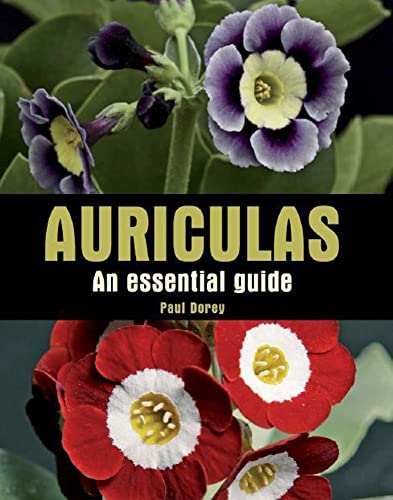 Beispielbild fr Auriculas zum Verkauf von Blackwell's