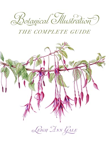 Beispielbild fr Botanical Illustration zum Verkauf von Blackwell's