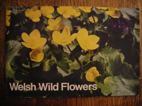 Stock image for Welsh Wild Flowers. for sale by Klaus Kuhn Antiquariat Leseflgel
