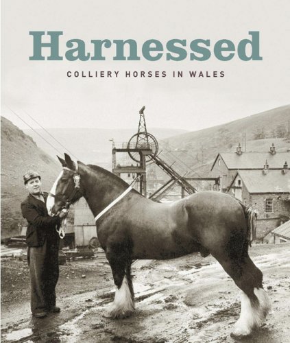 Beispielbild fr Harnessed Colliery Horses in Wales zum Verkauf von WorldofBooks