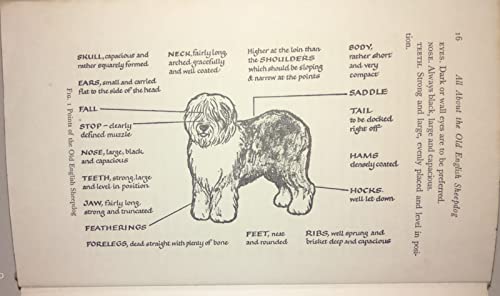 Beispielbild fr All about the old English sheepdog zum Verkauf von Wonder Book