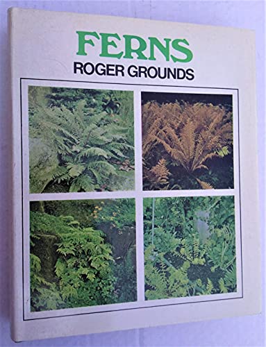 Stock image for Ferns for sale by Books From California