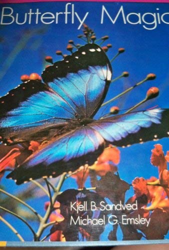 Beispielbild fr Butterfly Magic zum Verkauf von WorldofBooks