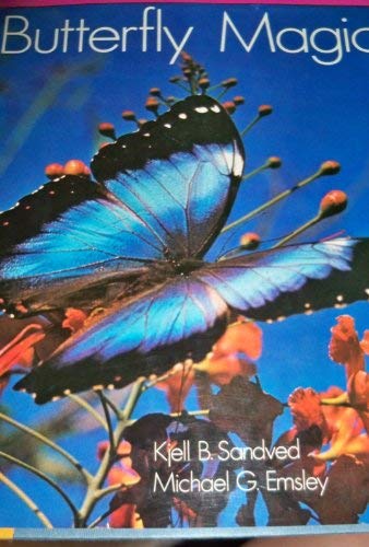 Butterfly magic (9780720708394) by Sandved, Kjell Bloch