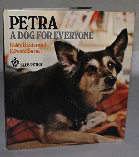 Stock image for Petra for sale by Lady Lisa's Bookshop