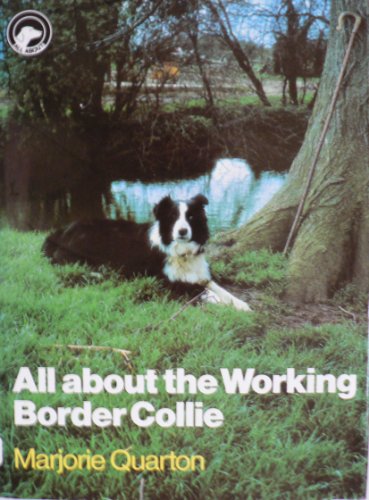Imagen de archivo de All About the Working Border Collie (All About Series) a la venta por WorldofBooks