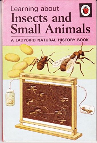 Beispielbild für Insects and Small Animals (Natural History) zum Verkauf von medimops
