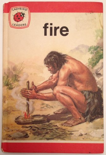 Imagen de archivo de Fire: 29 a la venta por WorldofBooks
