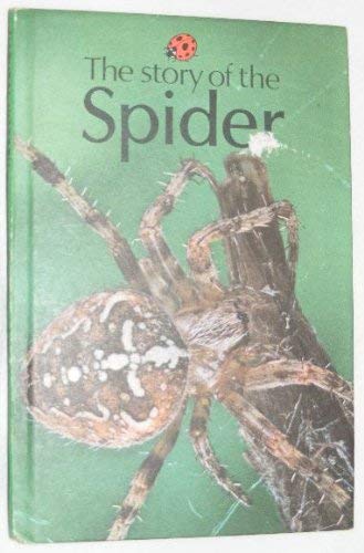Stock image for Story of the Spider (Natural History) for sale by Wonder Book