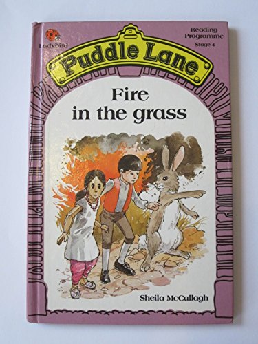 Beispielbild fr Fire in the Grass (Puddle Lane reading programme - stage 4) zum Verkauf von Front Cover Books