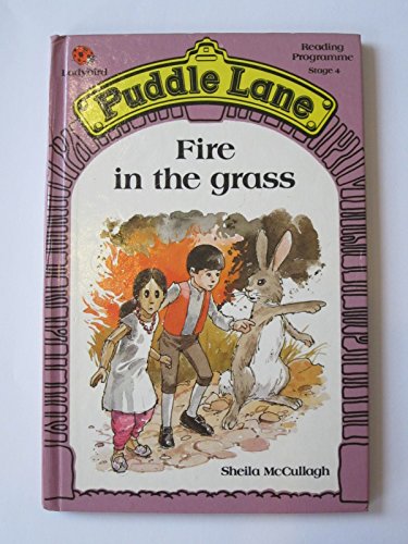 9780721409696: Fire in the Grass (Puddle Lane reading programme - stage 4)