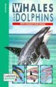 Stock image for Whales and Dolphins for sale by Reuseabook
