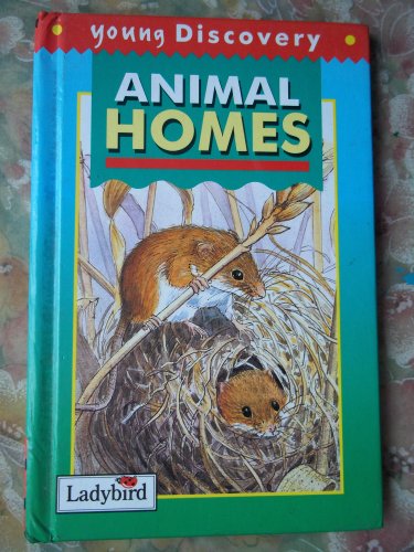Imagen de archivo de Young Discovery:Animal Homes (Young Discovery S.) a la venta por AwesomeBooks