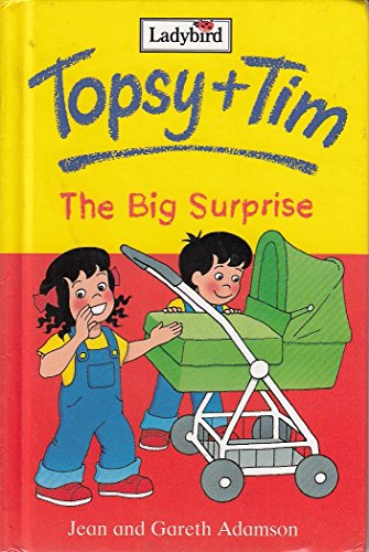 Stock image for The Big Surprise for sale by Better World Books Ltd