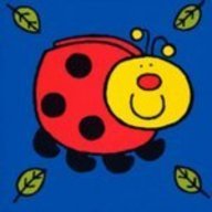 Little Ladybird Playbook (9780721424705) by Ladybird Books