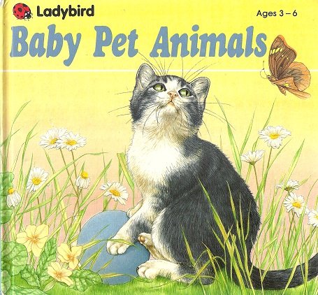 Stock image for My Book of Baby Pet Animals for sale by ThriftBooks-Dallas
