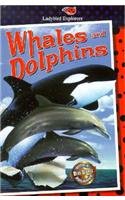 Stock image for Whales and Dolphins (Explorer, Ladybird) for sale by Wonder Book